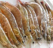 Qingdao Shrimp