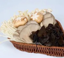 Vegetable and Mushroom Platter