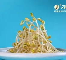 Mung Bean Sprouts