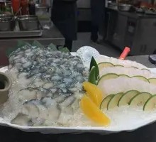 Live Sea Cucumber and Tiger Grouper Sashimi