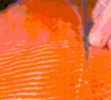 New Zealand Glacier King Salmon