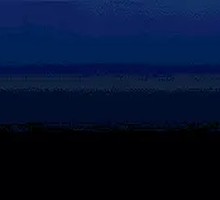 Sea Cucumber Rice Toss