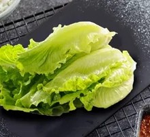 Fresh Lettuce