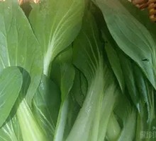 Chinese cabbage