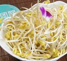Mung Bean Sprouts