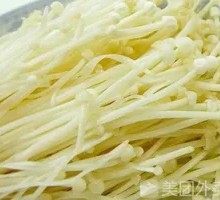 Enoki Mushroom