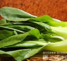 Chinese cabbage