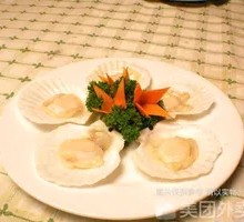 Scallop