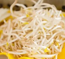 Mung Bean Sprouts