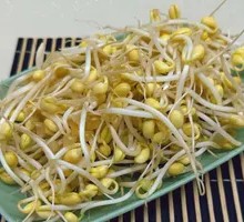 Stir-fried Potato Strips and Bean Sprouts