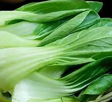 Chinese cabbage