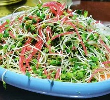 Cucumber Shoots Salad