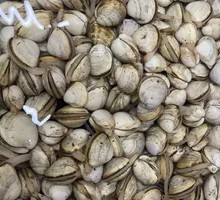 Steamed Clams
