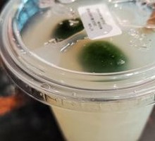 Lemon Probiotic Delight