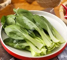 Oilseed lettuce