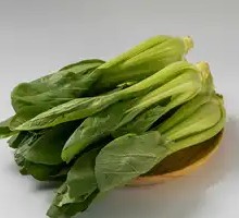 Chinese cabbage