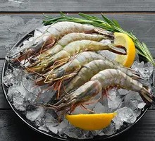 Black Tiger Shrimp