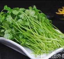 Cilantro