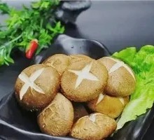 Shiitake Mushroom