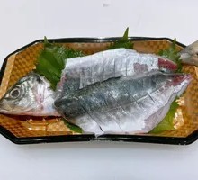 Small Spanish Mackerel