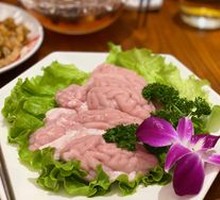 Fresh Pig Brain