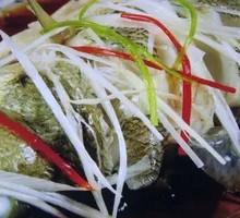 Spotted Tail Grouper Braised