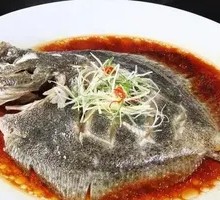 Turbot