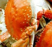 Crab