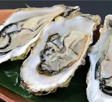 Oyster