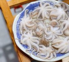 Nine-Second Bite Small Octopus