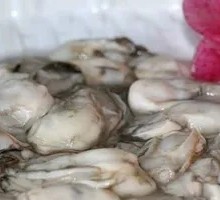 Oyster Meat