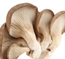 Charcoal-Roasted Mushrooms