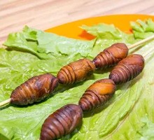 Grilled Silkworm Pupae