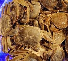 Freshwater Crab