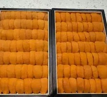 Sea Urchin