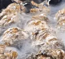 Fresh Oyster Meat