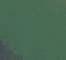 Flame-Grilled Beef Ribs