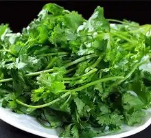 Cilantro