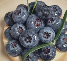 Blueberry Tart