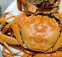Freshwater Crab