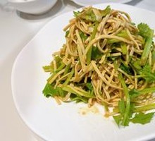 Mountain Celery and Tofu Shreds