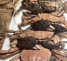 Freshwater Crab