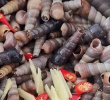 Spicy Stir-fried Snail Salad