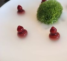 Fulu Cherry Foie Gras