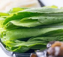 Oilseed lettuce
