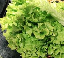 Lettuce
