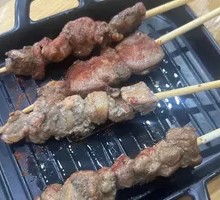 Microwave Meat Skewers