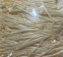 Enoki Mushroom
