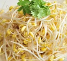 Mung Bean Sprouts