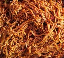 Enoki Mushroom